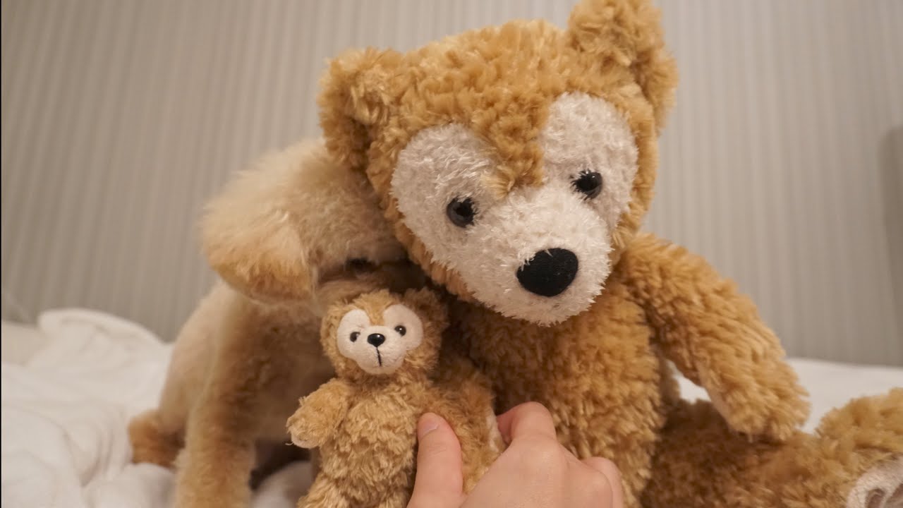 テディベアカットにしたての愛犬、ダッフィー説【トイプードル