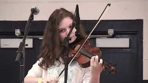 Alisa Meyer - Fire on the Mountain