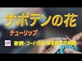 懐かしの名曲をギターで!『サボテンの花』のやさしい弾き語り【中高年から始めるギター】