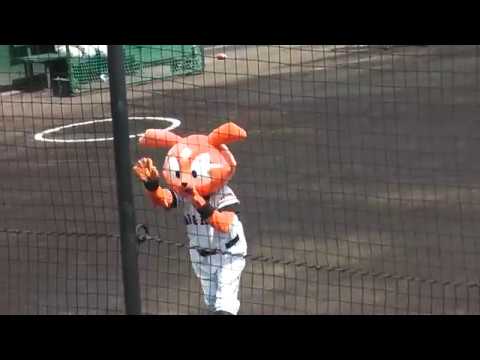 試合前ジャバ＆ヴィーナスダンスタイム