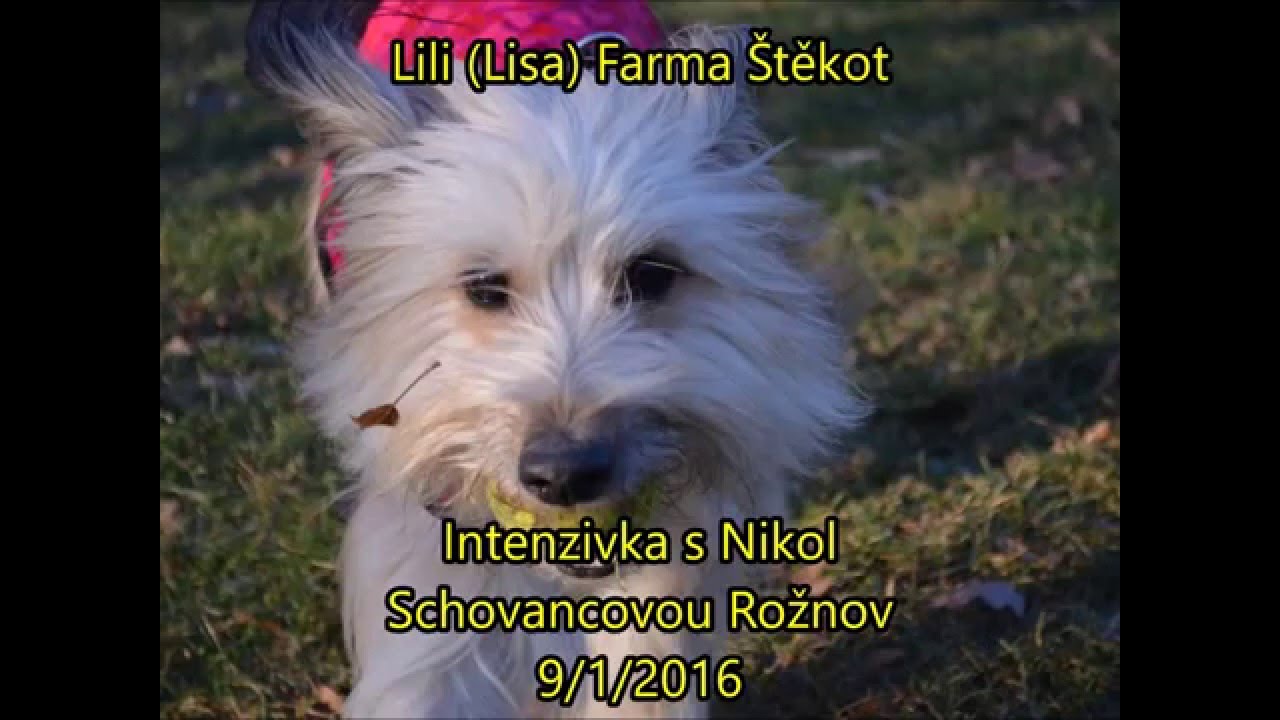 Intenzivka Nikol Rožnov 1 2016