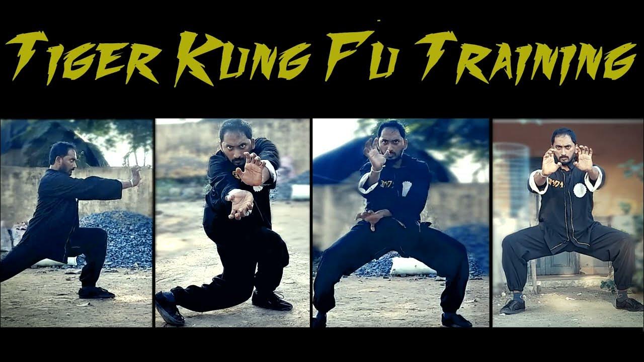Tiger Kung Fu Kata & Fighting Application Fighting of Tiger Style