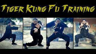 Tiger Kung Fu - Kata & Fighting Application | Fighting of Tiger Style Kung Fu | Tiger Combination 🐯| screenshot 3