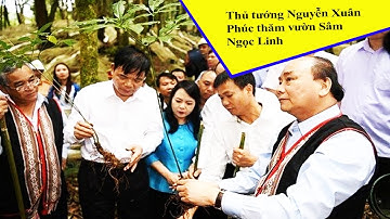 Thủ tướng Nguyễn Xuân Phúc thăm vườn Sâm Ngọc Linh