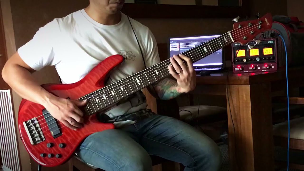 Dead or Alive - You Spin Me Round (Bass Cover)