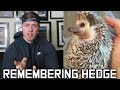 Remembering Hedge..