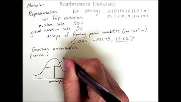 Exploring an Evolutionary Computation Search Space with Mutation: Different Representations