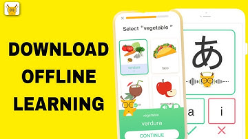 How To Download Offline Learning On LingoDeer App