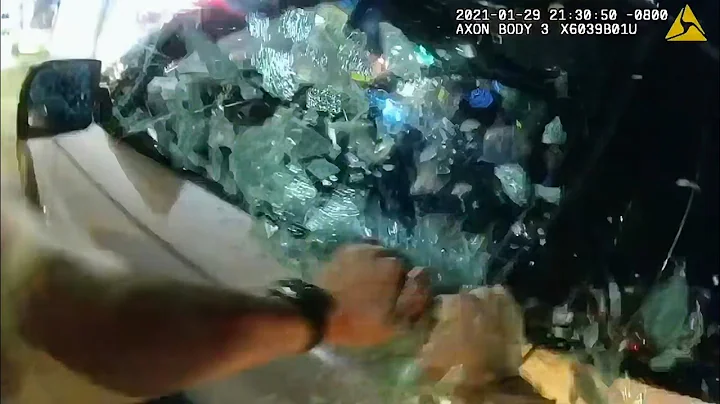 Sovereign Citizen Shocked To The CORE When Cop Rips Out His Car Window With His BARE Hands