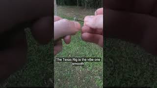 #bassfishing #fishing #slobs