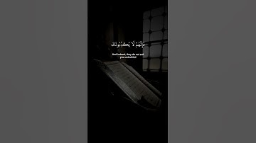‏سورة الأنعام تلاوة الشيخ إدريس أبكر 🤍🥹￼