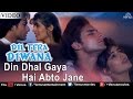 Din Dhal Gaya Hai Abto Jane (Dil Tera Deewana)