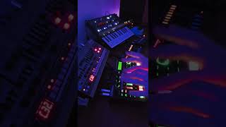 Mellow Synthwave Jam (ft. Roland JX08, TR6S, &amp; Arturia Microfreak) #dawless #performance #synthwave