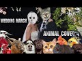 Mendelssohns Wedding March but it sounds like animals