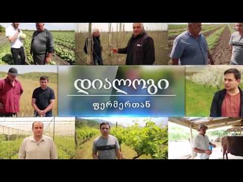 დიალოგი ფერმერთან,გიორგი დადიანიძე