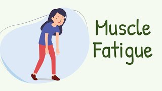 How EXACTLY do the Muscles Get Tired? Muscle Fatigue: Central Fatigue, Peripheral Fatigue