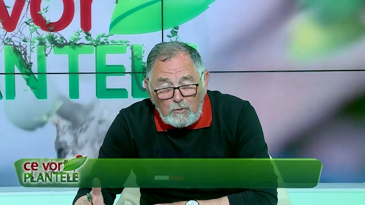 VIDEO Dr. Ing. Horia Ghibu - Tratament COMPLET pentru legumele din grădină 1 VIDEO Dr. Ing. Horia Ghibu - Tratament COMPLET pentru legumele din grădină YouTube player