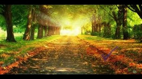 سوره طه كامله القارئ انس محمد بصوت يريح القلب ويهدئ النفس♥️❤️