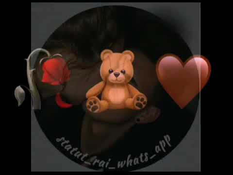 حالات واتس اب شاب عقيلstatus Whatsapp Cheb Akil