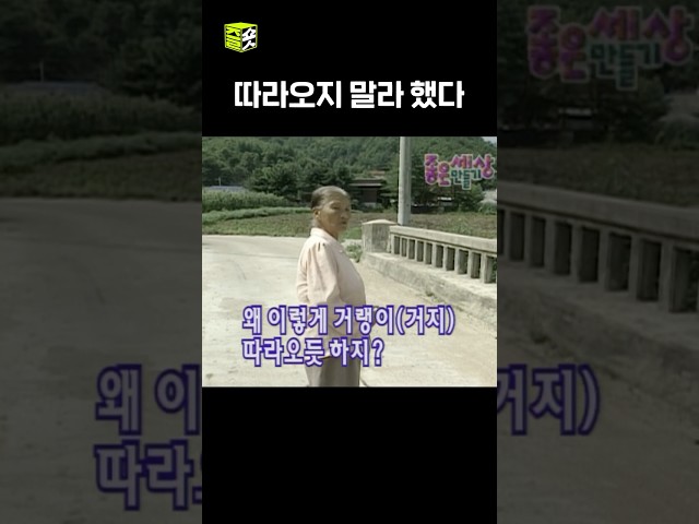 참견하지마????‍♀️ 매콤까칠 K-할매 #고향에서온편지