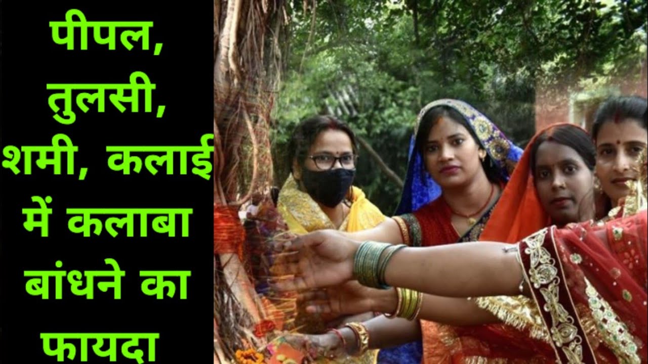 कलाबा को कलाई, पीपुल, तुलसी,शमी का पेड़ में बांधने से क्या होता है #hindudeity #youtubevideo