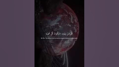 سورة المؤمن ، الآية 84-92 -ياسر الدوسري