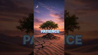 🌅 Top 7 Life Lessons to Transform Your Mindset # shorts  #motivational video # life lesson