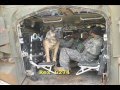Soldier Dogs: A Book Review Soldier Dogs: A Book Review