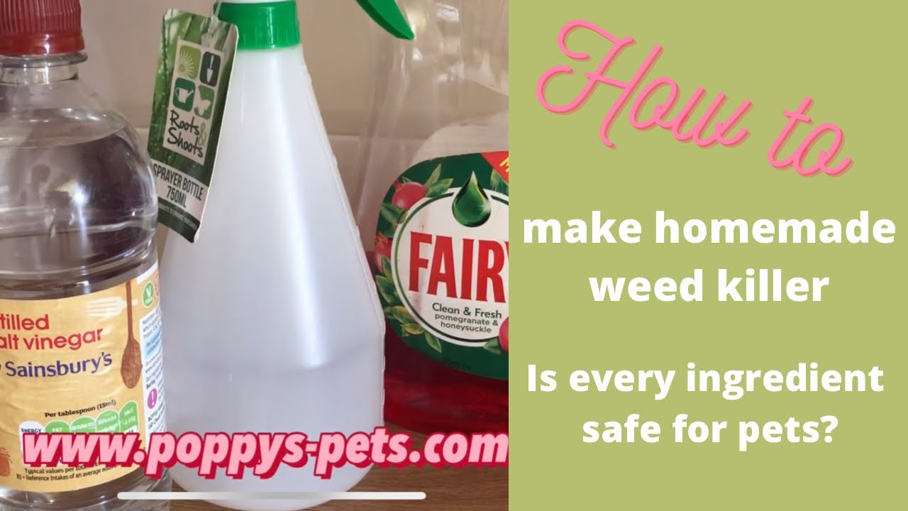 How to Make Your Own Weed Killer with Household products #petfriendly ...