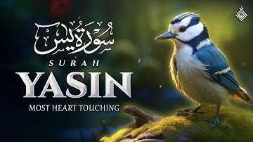 Surah Yasin (Yaseen) سورة يس | A Spiritual Whisper to Clear the Mind | Al-Taqwa TV
