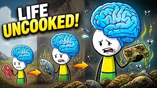 What If Humans Never Learned To Cook Food? Wealth