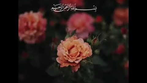 ايات من القرأن بصوت القارئ الشيخ هزاع البلوشي (راحة نفسيه)💚