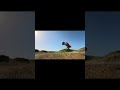 Mojave 4s quarry Bash