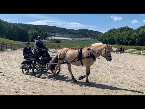 Vlog: NM Fjording 2019 Vlog: NM Fjording 2019