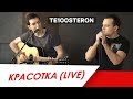 TE100STERON - Красотка (Live)