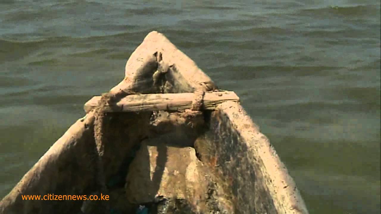 Saving the Golden Goose Part 1