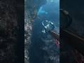 Catching rockfish with the boys #Spearfishing #Freediving