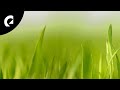 Sum Wave - Evening Mood Royalty Free Music