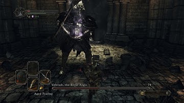Velstadt SL1 NG+7 CoC Broken Ladle No Rolling/Blocking/Parrying