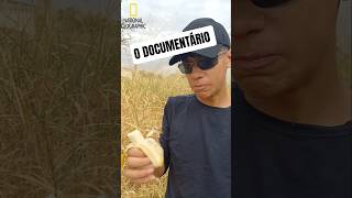 o Documentário #humor #humorbrasil #comedia