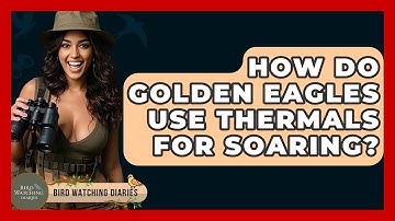 How Do Golden Eagles Use Thermals For Soaring? - Bird Watching Diaries