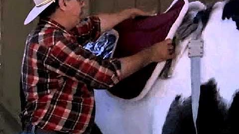 OBJECTIVE "MEASUREMENT" VALIDATION