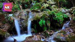 Waterfall Sounds | Oddly Relaxing Forest Waterfall Sounds for Instant Sleep One Hour | Waterfall 4K