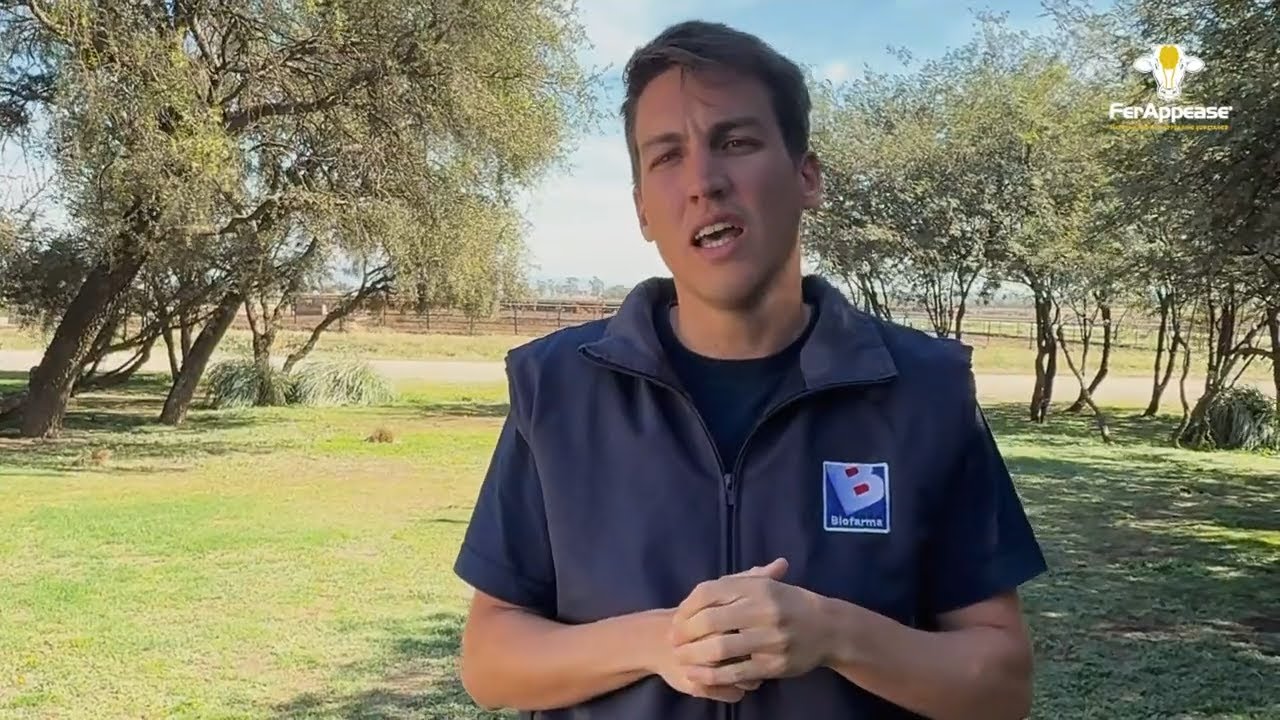 FerAppease en Feedlot: Comprobada Eficacia en Sistemas de Confinamiento