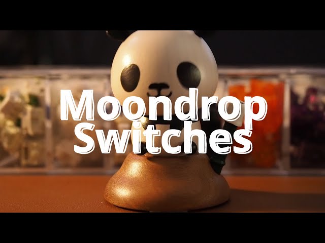 Moondrop Tessence & Lunalight Switches (QK65 + Bakeneko60) - YouTube