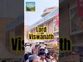 Kashi Vishwanath Darshan 🔱 | Feel the Divine Energy of Varanasi | Lord Shiva Temple #shorts #kashi