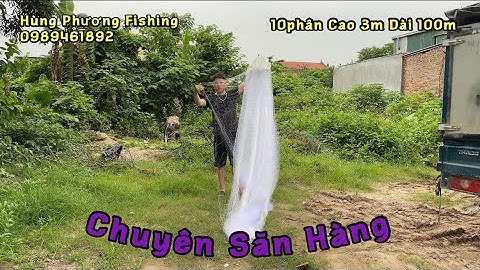 Lưới Chinhfa 10cm Cao 3m Chuyên Săn Cá To