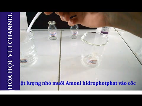 Amoni Clorua Có Làm Đổi Màu Quỳ Tím Không - Thí nghiệm- *Thử quỳ tím dung dịch (NH4)2HPO4 (Diamonium hidro phosphate)*