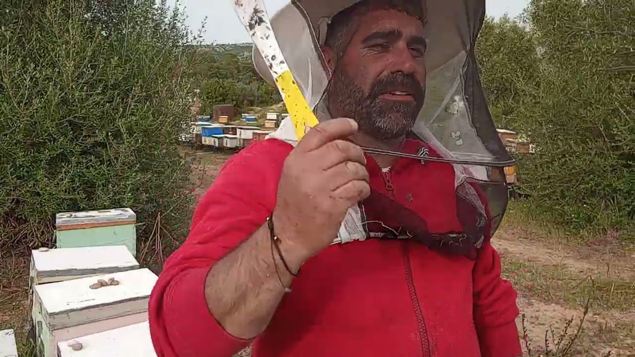 Πως τα μελίσσια χτίζουν κηρήθρες σε 24 ώρες. Η άνοιξη έχει κέφια. Απρίλιος 2021