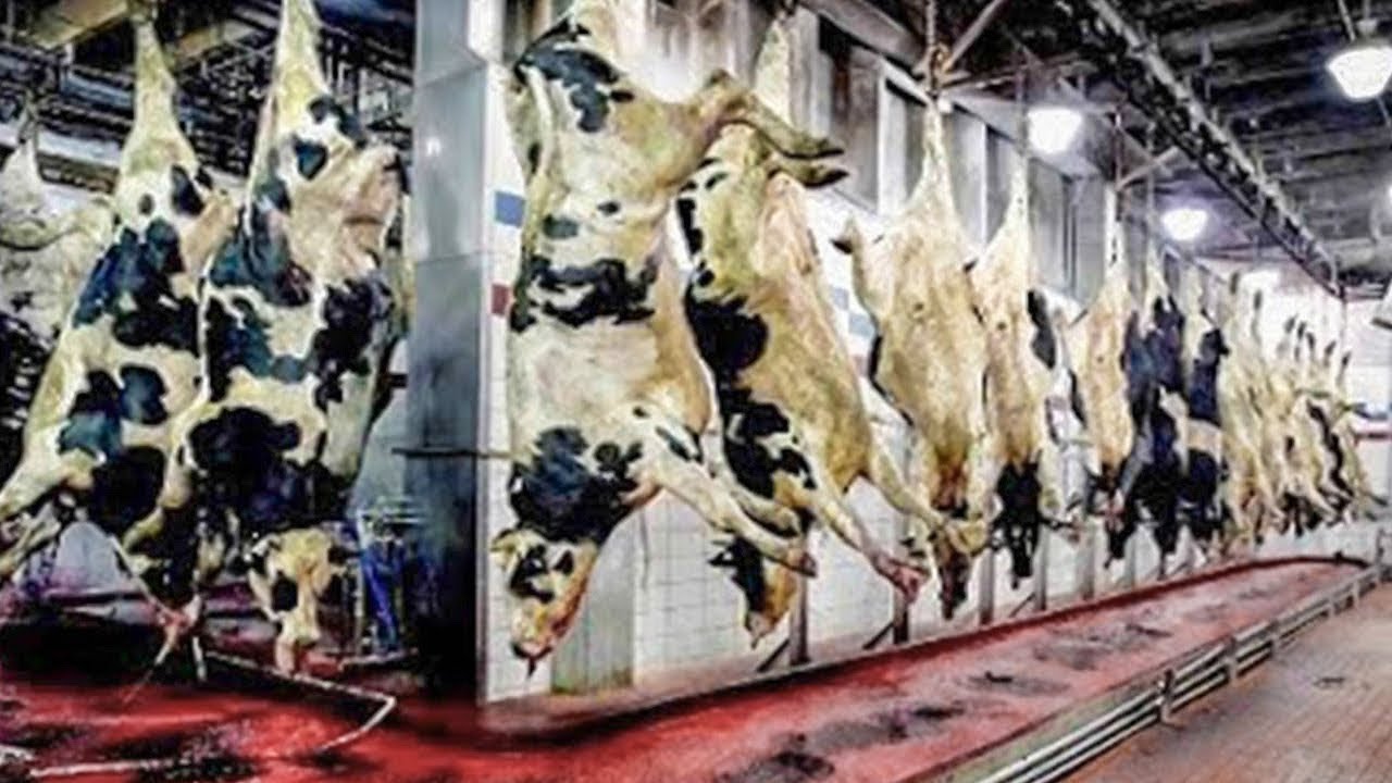 Запрещенное Производство, которое не Покажут по ТВ - YouTube